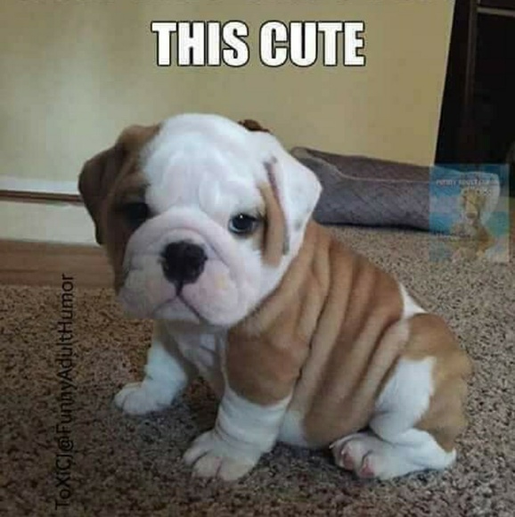 Meet your Posher, Cathy - Picture 1 of 1